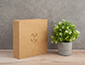 Portfolio Box with Prints