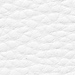 Title #5